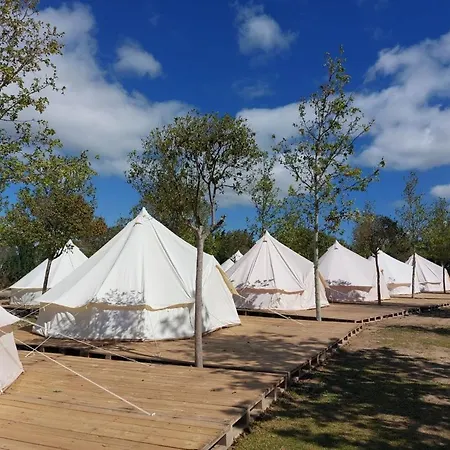 Glamping Camping 豪华帐篷 *